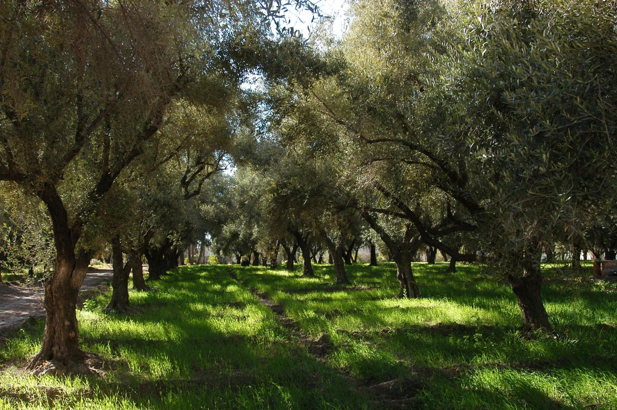 Le Bled Ferme Panzió Lahebichate Kültér fotó